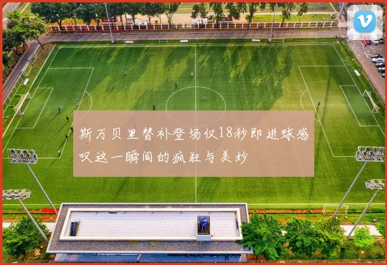 斯万贝里替补登场仅18秒即进球感叹这一瞬间的疯狂与美妙